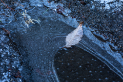 氷った水たまり