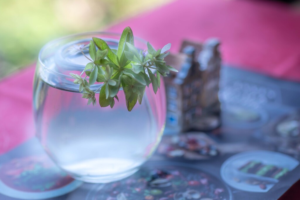 紫陽花の最後の花