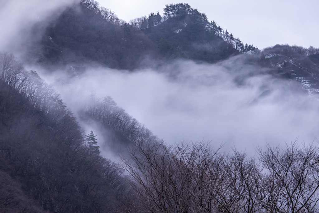 霧の寒い朝