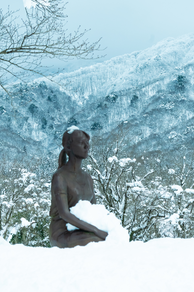 景色にピントを合せました。