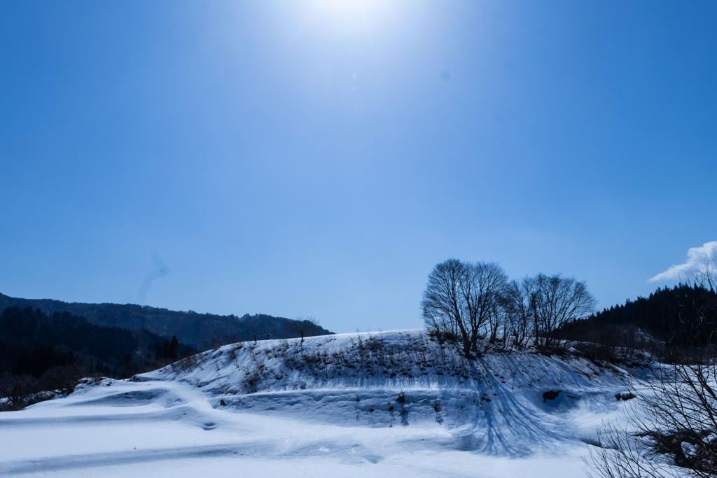 雪面に影