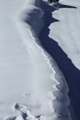 畦