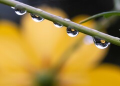 雨上がり
