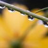 雨上がり