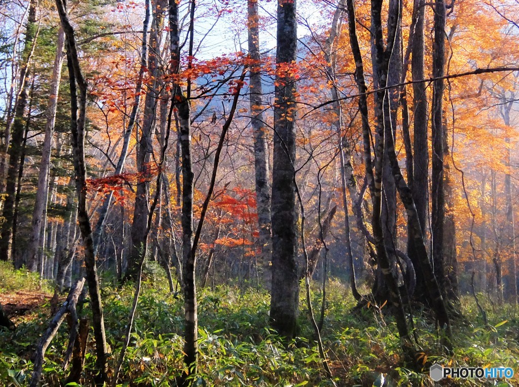 温泉へと　続く道