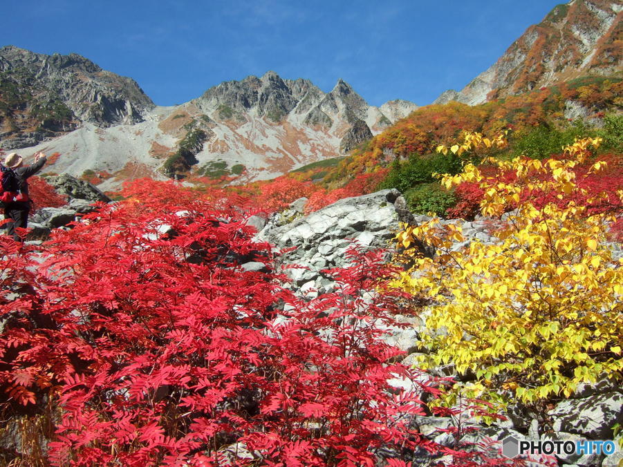 涸沢の紅葉