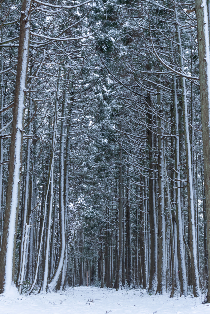 歩いている人が居なかった