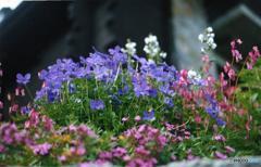 スイスにて　1996年7月