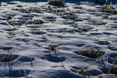 雪面