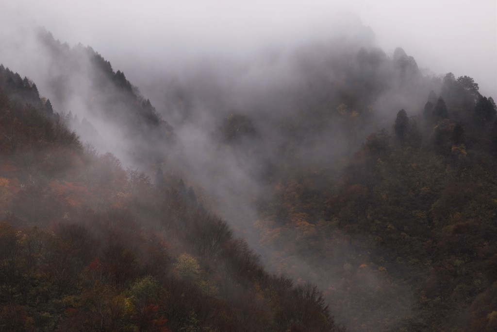 山に霧が舞う