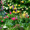 何種類の花があるんだろう？