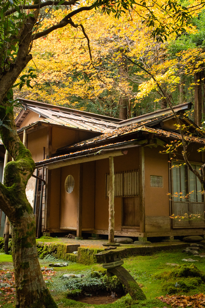 静かな佇まい
