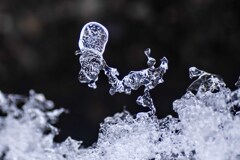 氷模様　反転