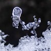 氷模様　反転