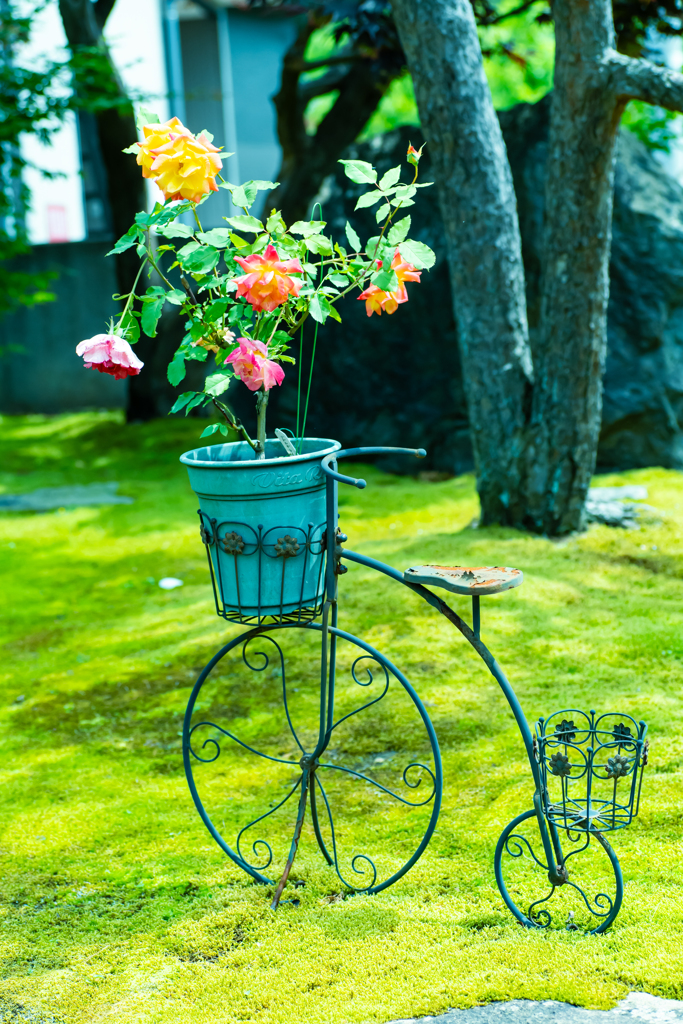 中庭で迎えてくれた素敵な花籠
