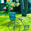 中庭で迎えてくれた素敵な花籠
