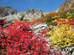 涸沢の紅葉は？