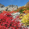 涸沢の紅葉は？