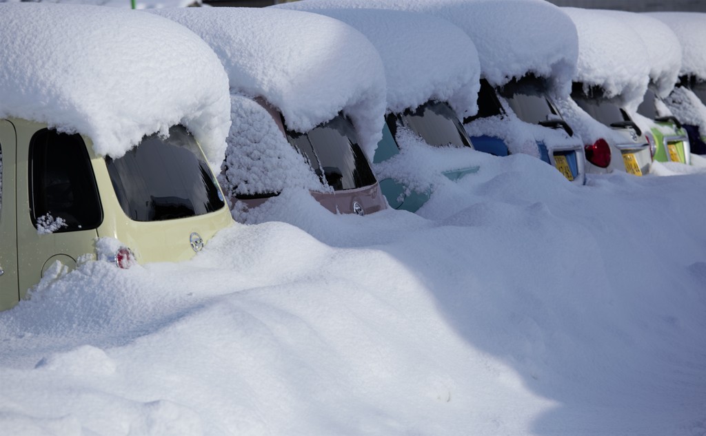 雪に埋もれた車たち