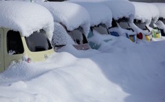 雪に埋もれた車たち