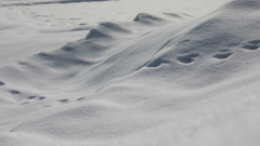 田んぼの雪模様