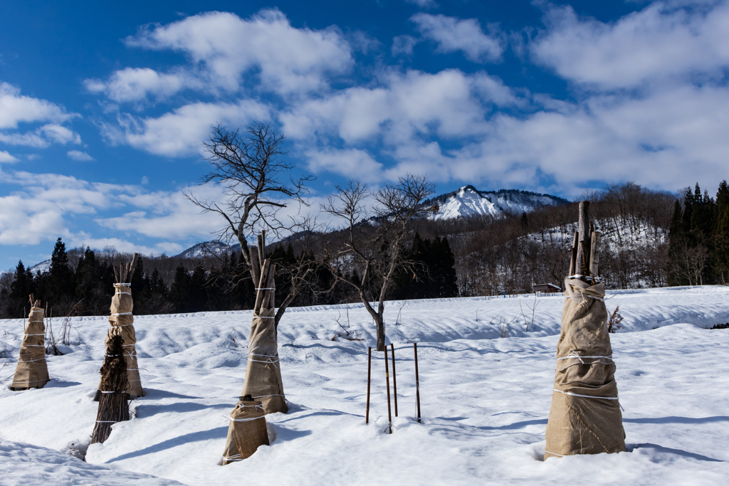 雪国の情景