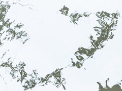 揺らぎ