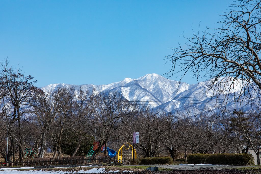 散歩風景