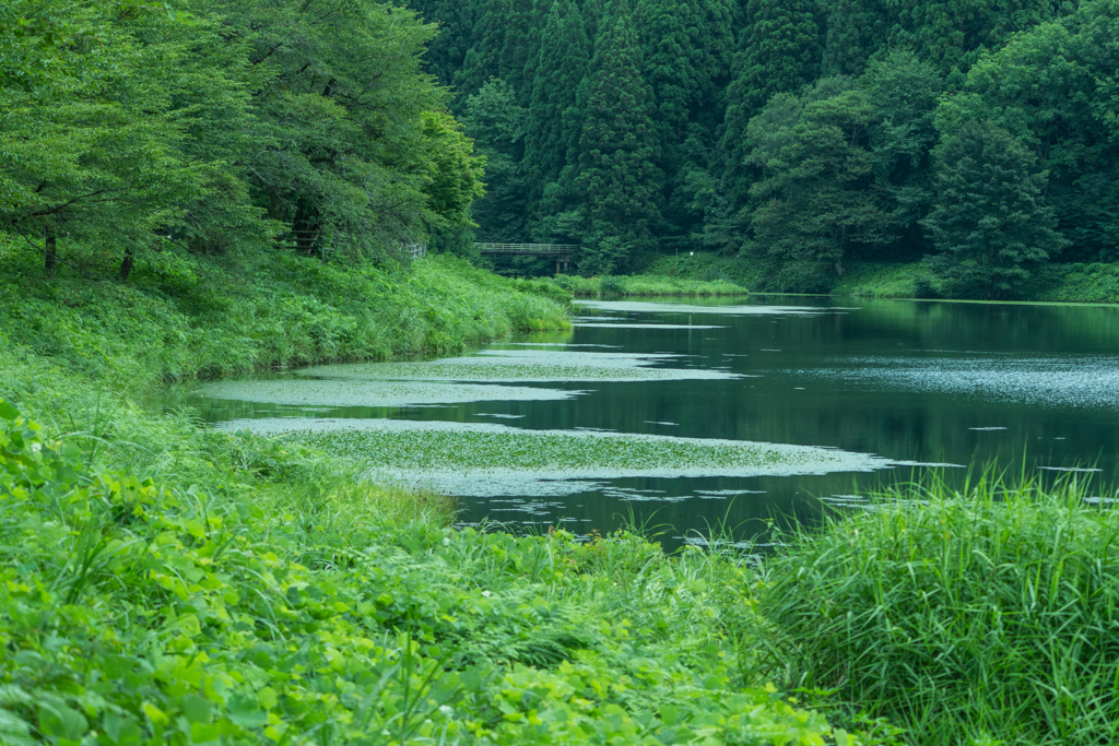静かな貯水池