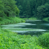 静かな貯水池