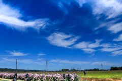 秋空