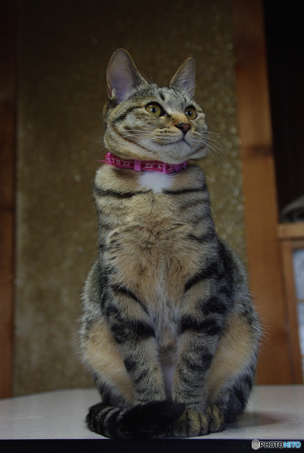 硬くならなくても・・・・