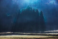 朝日の光が　射す