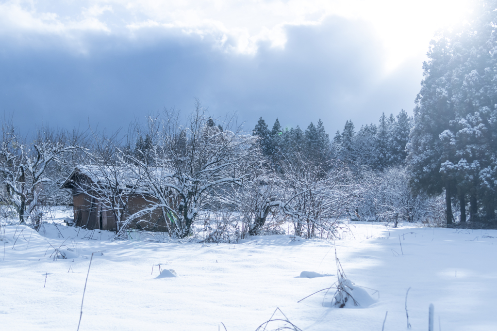 作業小屋が　ポツン！