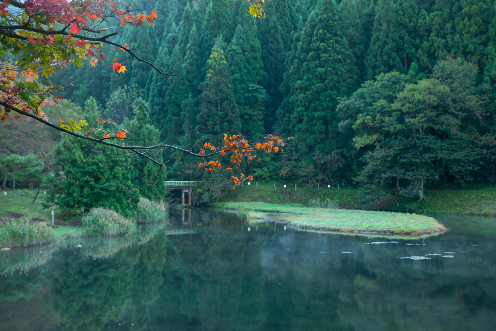 紅葉はこれから