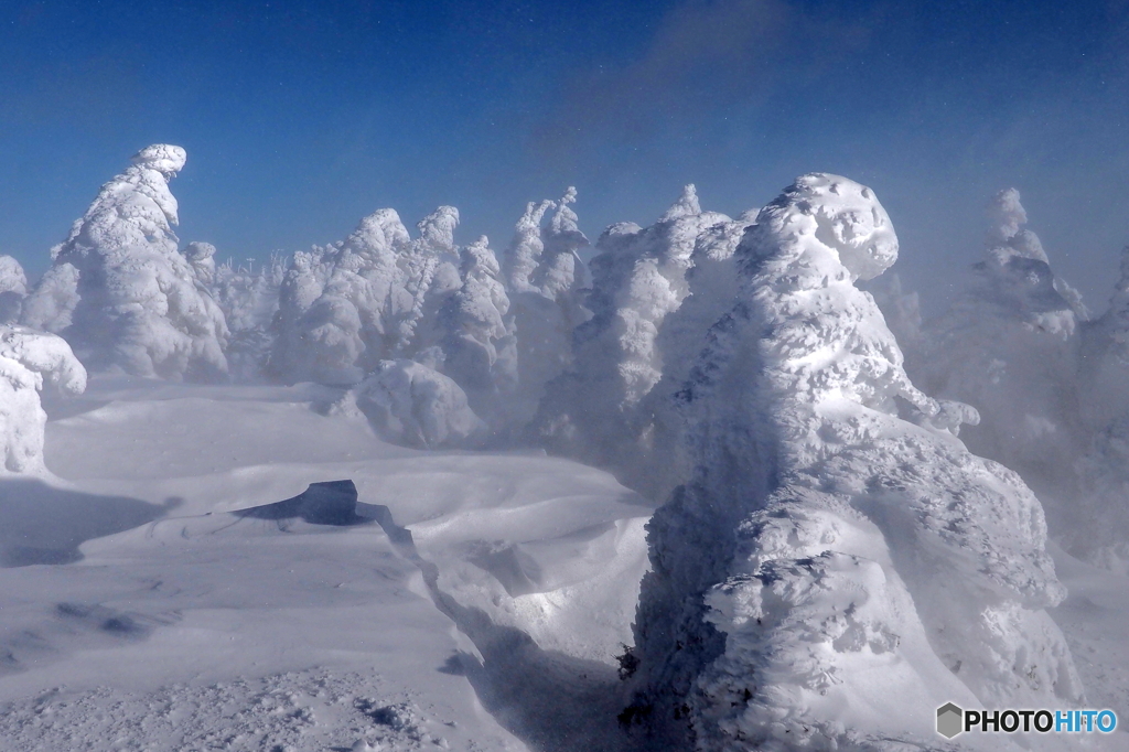 明けましておめでとう