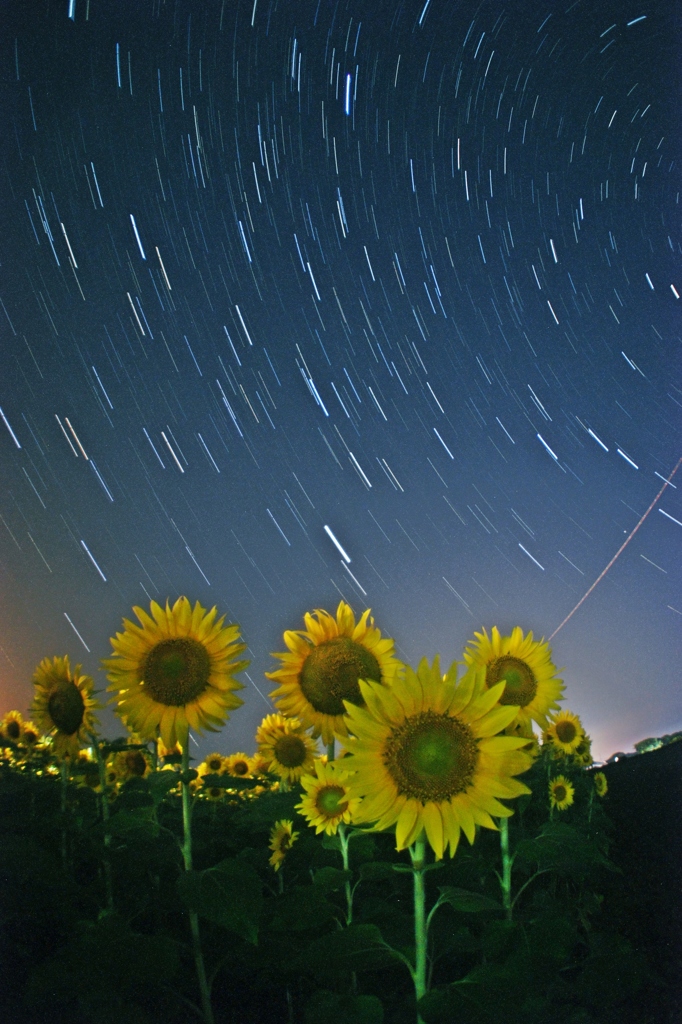 同じ空の下で