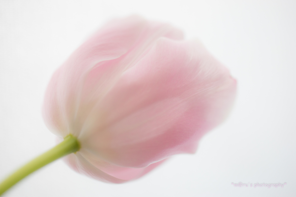 Untitled...