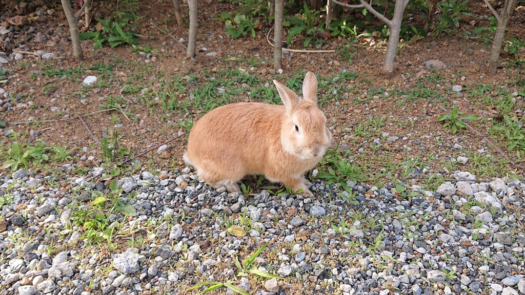 久しぶりにラブ！