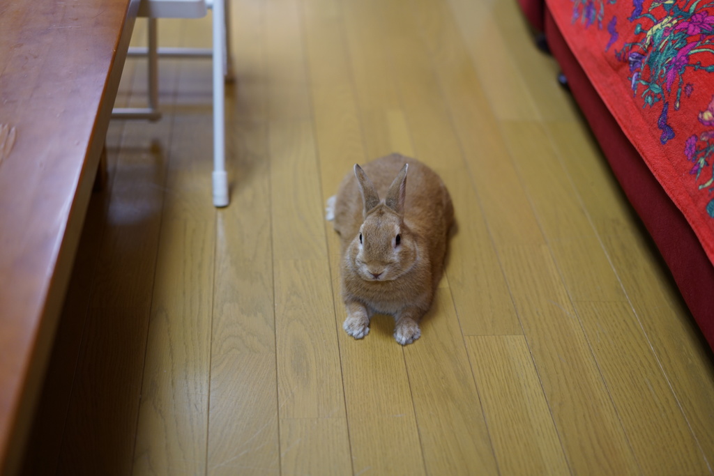 Love 前から