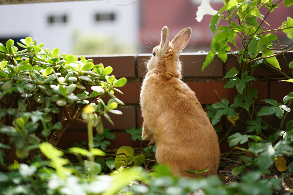 ちょっとピン甘ですが・・ラブ