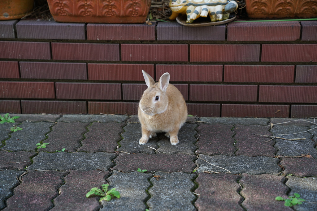 久しぶりにラブ！