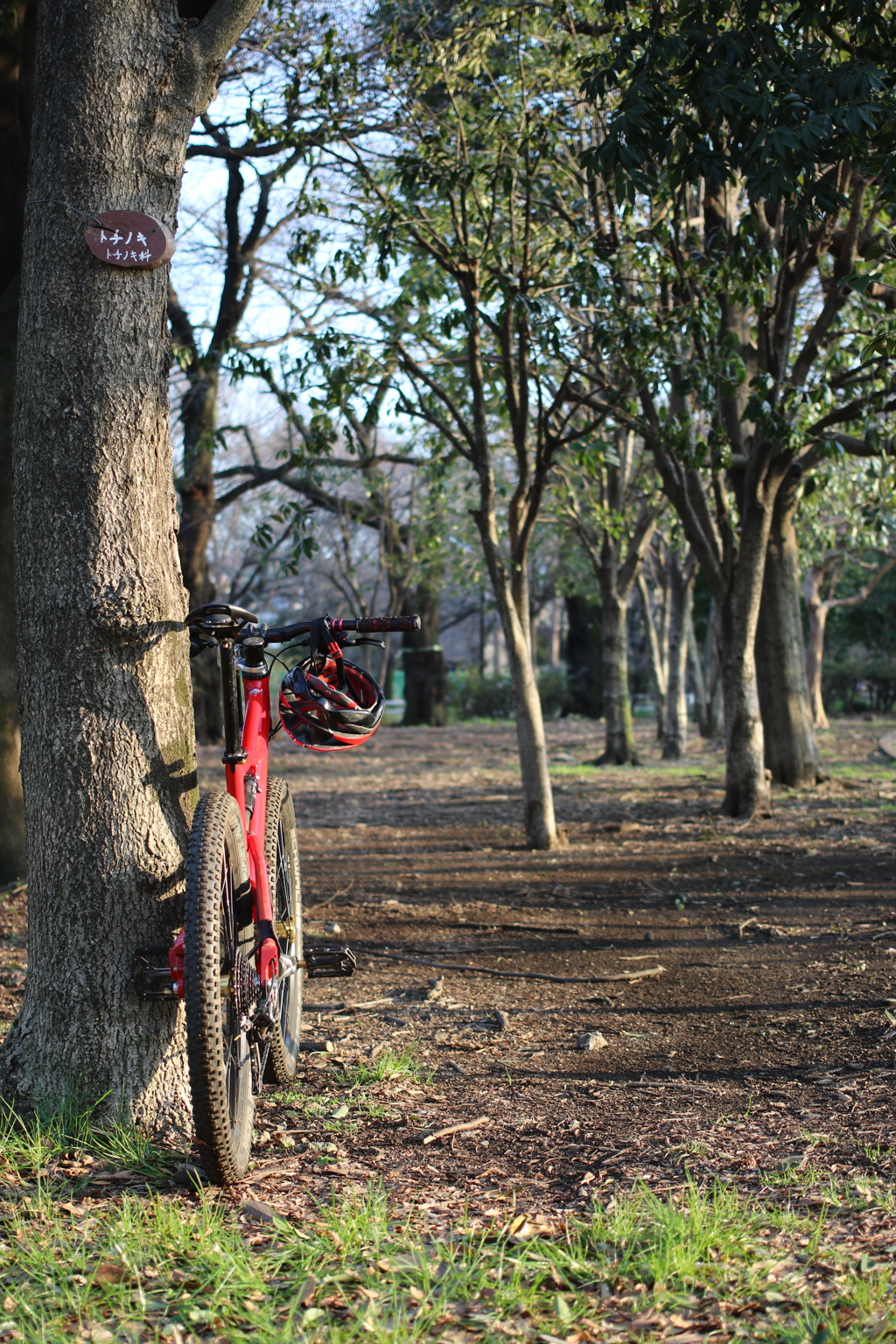 公園トレイル