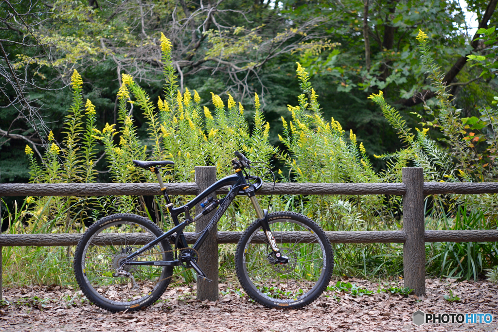 愛車のSanta Cruz Nomad