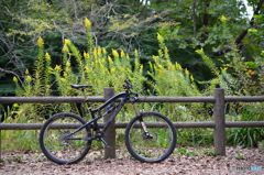 愛車のSanta Cruz Nomad
