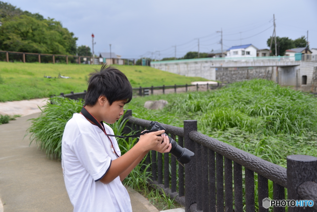 出来高の確認