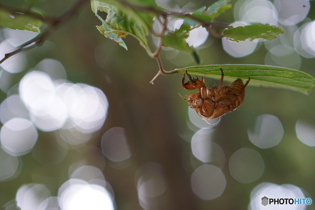 夏も残り少なく