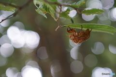 夏も残り少なく