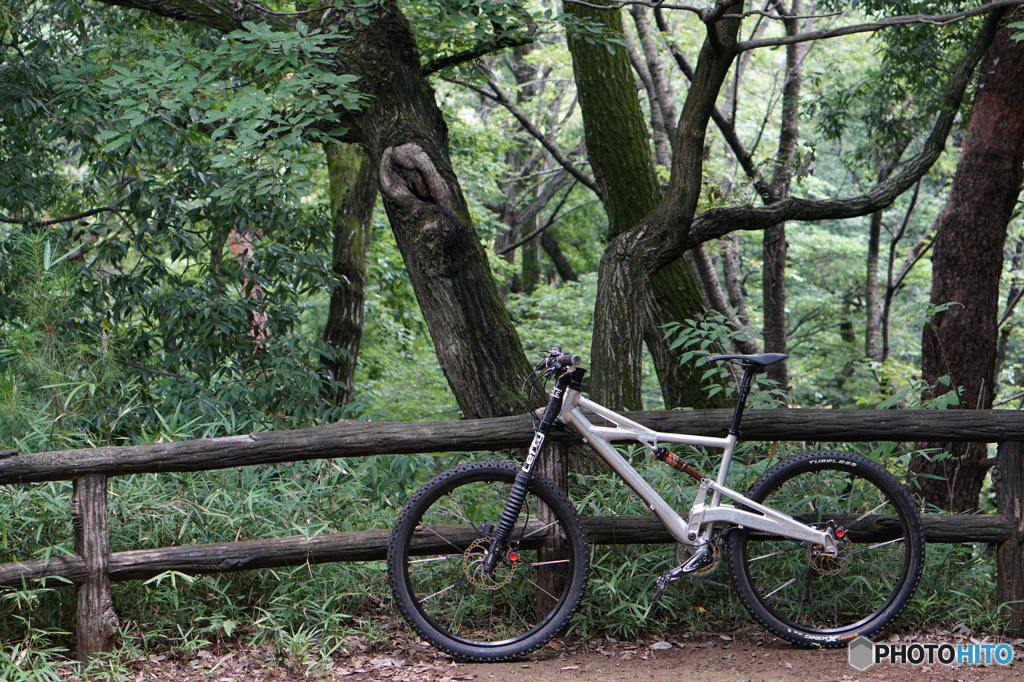 Cannondale Prophet