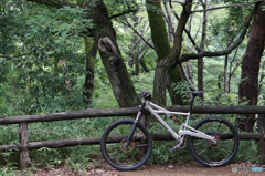Cannondale Prophet